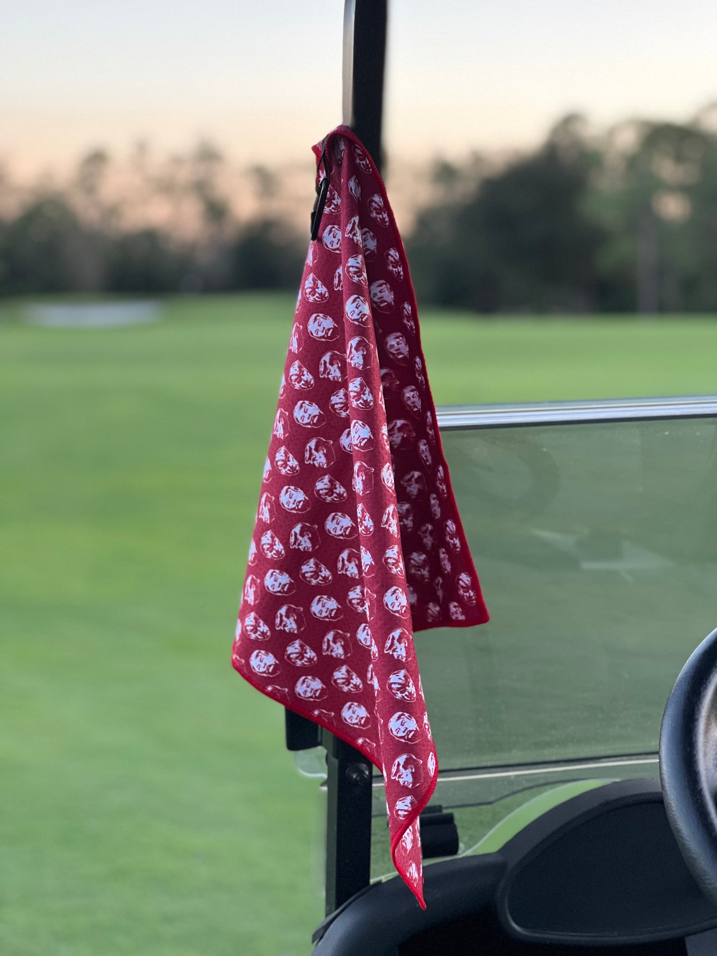 THE PRESIDENTIAL FACES GOLF TOWEL